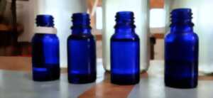 photo Atelier d’hydrodistillation d'après tempête : pin maritime et pin sylvestre