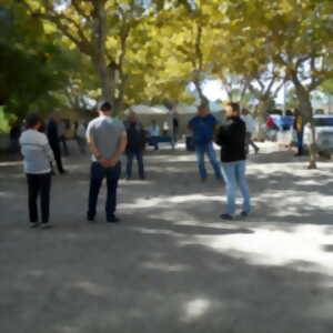 photo Tournoi de pétanque 