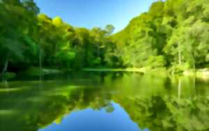 photo Sortie ornithologique au lac de Sargaillouse