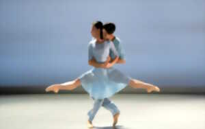 photo Festival Le Temps d'Aimer la danse