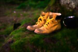 photo Randonnée de printemps