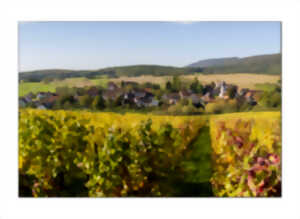 photo Balade paysagère : Paysage, vins et climat