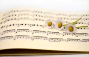 photo Le Voyage Musical