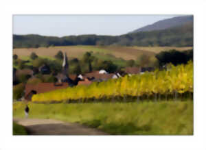 photo Conférence- Lecture :  Paysage, vins et climat