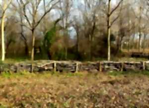 photo Chantier participatif : création d'une haie sèche pour l'accès au Wachtfels