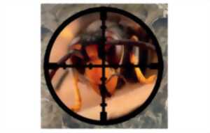 photo Réunion publique - Lutte contre le frelon asiatique