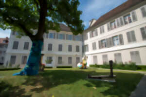 photo Nuit des Musées au Musée des Beaux-Arts