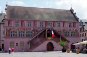 photo Nuit des Musées au Musée Historique