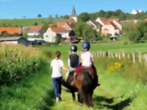 photo Balade : circuits à poney