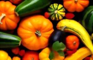 photo Le Lot de Ferme en Ferme : Découverte de la ferme du Marais de Gagnac