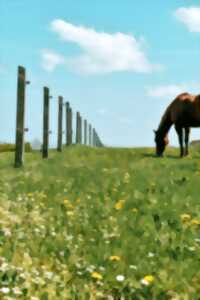 photo Le Lot de Ferme en Ferme : Découverte de la ferme du Dariben