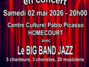 photo Concert les vieilles canailles