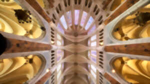 photo Nuit des cathédrales 2026