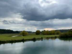 photo Sortie nature : la noue, havre pour la vie sauvage