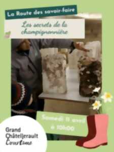 photo Les secrets de la champignonnière