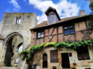 photo Visite jeune public de la cité médiévale