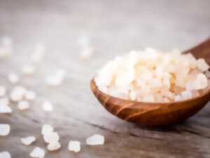 photo Atelier famille 