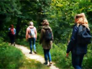 photo Balade sensorielle sur les chemins de Coutances