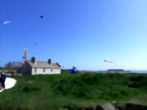 photo Et vole Eole à Tatihou, week-end cerfs-volants ouvert à tous ! - Ile Tatihou