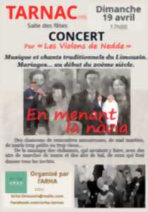 photo Concert par Les violons de Nedde