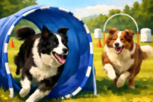 photo Concours de hoopers