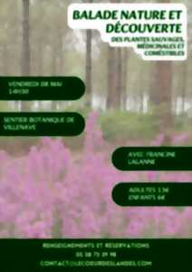 photo A la découverte des plantes sauvages, médicinales et comestibles avec Francine