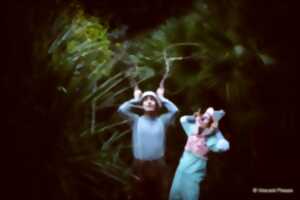 photo Festival du Conte / Compagnie l'Aurore - Le Cerf au Sabot d’Argent