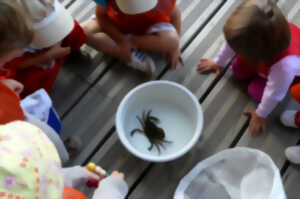 photo Rencontre biodiversité