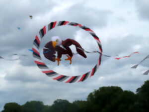 photo Estivol - 30ème édition