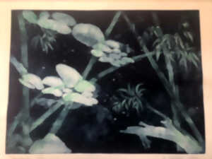 photo Exposition - La nature en héritage