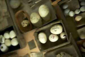 photo Atelier : Quel œuf !