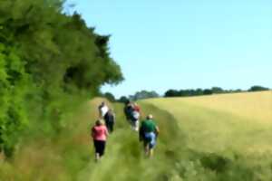 photo Journées européennes de l'archéologie : rando archéo