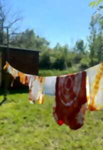 photo Atelier des p'tits curieux : 