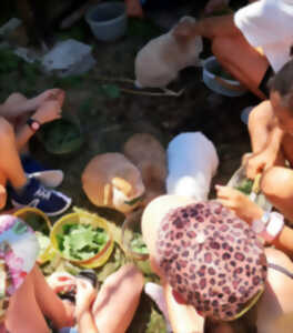 photo Atelier des p'tits curieux : 