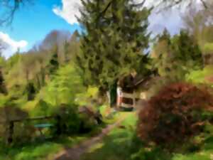 photo Jardin en Fêtes