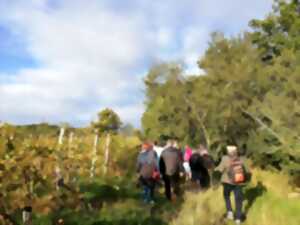 photo Madi'Rando de printemps