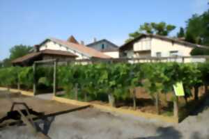 photo Journées européennes du patrimoine au Musée de la Chalosse