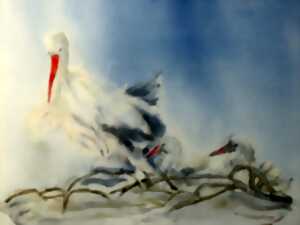 photo Exposition - Aqua & Oracles