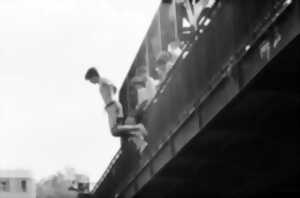 photo Exposition ÉCLOSIONS IMPRÉVUES