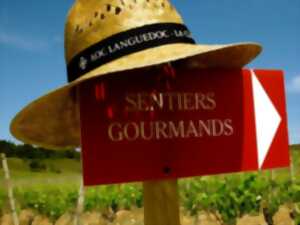 photo 21ÈME SENTIERS GOURMANDS EN CLAPE VIGNERONNE