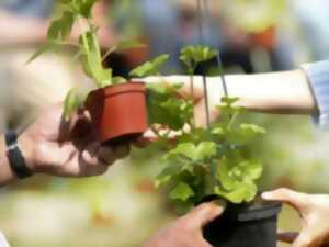 photo Troc' bocaux & plantes du printemps