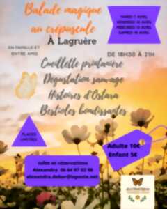 photo Balade magique au crépuscule