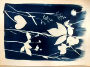 photo Mon jardin bleuté