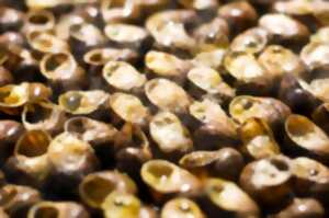 photo FÊTE DE L’ESCARGOT