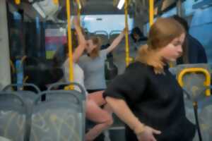 photo Festival Tek A (rt) - Spectacle - Tek Ze Bus