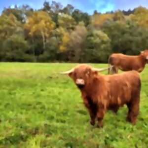 photo Enquête à la ferme