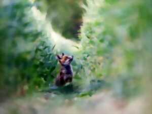 photo Activités agricoles & biodiversité - Conférences et expositions