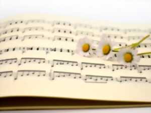 photo Le Voyage Musical