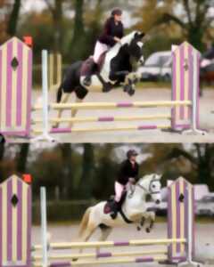 photo CONCOURS EQUITATION CSO ET DRESSAGE