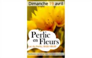 photo Perlic en fleurs